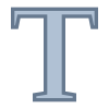 Type icon