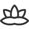 Water Lily icon