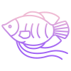 Dwarf Gurami Fish icon