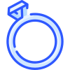 Ring icon