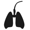 Lungs icon