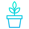 阳光下的植物 icon