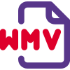 WMV is the compressed video format and media audio is the compressed audio format icon