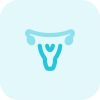 외부 자궁 색상 이미지 - 흰색 배경에 고립 - 생식력 - 트리톤 - 탈 - 부활 icon