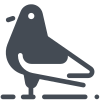 pigeon icon