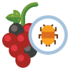 Bugs icon