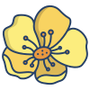 Buttercup icon