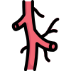 Anatomy icon