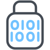 二元锁 icon