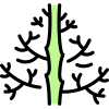 externer-Dill-Gemüse-Vitaliy-Gorbatschow-lineare-Farbe-Vitali-Gorbatschow icon