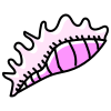 Mollusk icon