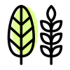 Decorative paddy leaf as a part of thanksgiving harvesting season icon