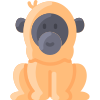 Orangután icon