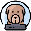 Dog icon