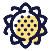 Tournesol icon