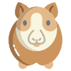 Guinea Pig icon