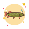 Pike icon