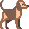 Perro icon