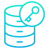 Database icon