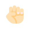 кожа-сжатый кулак-тип-1 icon