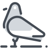 pigeon icon