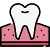 Premolar icon