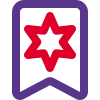 Medium rank homeguard of strip and star uniform badge icon
