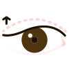 blepharoplasty icon