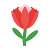 -protea-flor icon