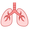 Pulmones icon