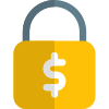 Secure online payment ssl protection, money security icon