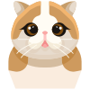 ネコ icon