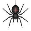 Spider icon