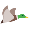 canard volant icon