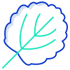 Aspen Leaf icon