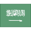 Saudi Arabia icon