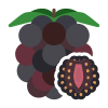 Blackberry icon