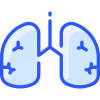 Pulmones icon