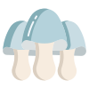 Paddy Straw Mushroom icon