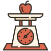 Weight Scale icon