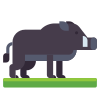 Wild Boar icon