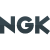 external-ngk-produziert-und-verkauft-zündkerzen-und-zugehörige-produkte-für-verbrennungsmotoren-automotive-shadow-tal-revivo icon