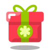 Weihnachtsgeschenk icon