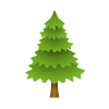 immergrüner Baum icon