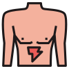 Stomach icon