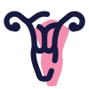 子宫 icon