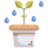 阳光下的植物 icon