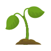planta de semillero icon