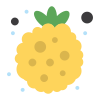 Raspberry icon