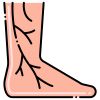 Varicose Veins icon